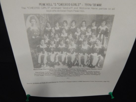 Close up photograph of Peak Hill's 