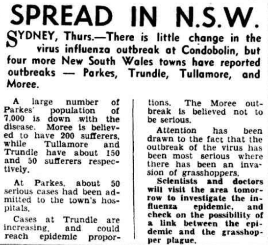 A Central West influenza outbreak brought the population of Parkes to Hobart's newspapers. Source: SPREAD IN N.S.W. (1953, October 30). The Mercury (Hobart, Tas. : 1860 - 1954), p. 1. Retrieved October 12, 2016, from http://nla.gov.au/nla.news-article27175449