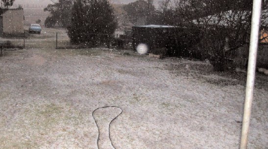 A reader sent this photograph to the local newspaper sharing their own Winter Wonderland during the snowstorm. Source: Parkes Champion Post Friday June 24, 2005 page 3