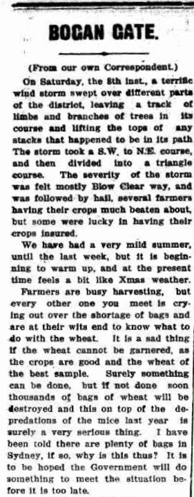 The article highlights more issues for farmers in Bogan Gate. A wind storm caused considerable damage and hampering harvest efforts. Source: Western Champion Thursday 20th December 1917 page 4