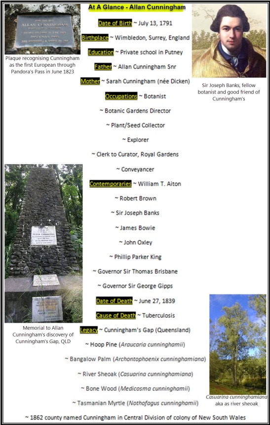 At A Glance Allan Cunningham