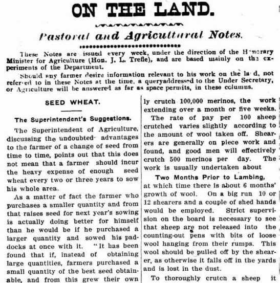 The latest information, supplied by the Ministry of Agriculture, assisted those working the land. Included in this article were the benefits of crop rotation and correct procedure for crutching sheep. Source: The Western Champion Thursday March 20, 1913 page 10