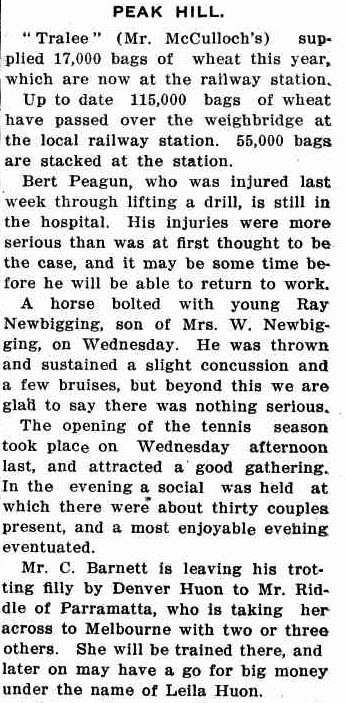 District Brevities was a regular feature in the newspaper of 1913 - an important link to neighbouring communities. To read the full article click here. Source: The Western Champion Thursday March 20, 1913 page 12
