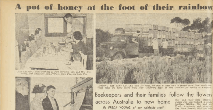 Frank and family's journey interstate in the pursuit of honey was a special feature story in Australian Women's Weekly. To view the whole article click here. Source: The Australian Women's Weekly 16 August 1947 pp.34-35