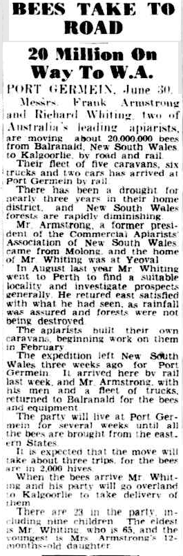 Frank Armstrong undertook many journeys to assist the honey production of his bees. The journey from New South Wales to Western Australia made news - especially as he was transporting 20 million bees along with his family. Source: The Advertiser 1 July, 1947, page 1 which can be found at http://nla.gov.au/nla.news-article35984877