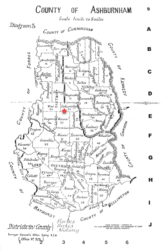Map of Ashburnham County, highlighting the parish of Cookamidgera in 1881. Source: County & Parish Maps of NSW With Index by Alice Jansen (1991) page 9
