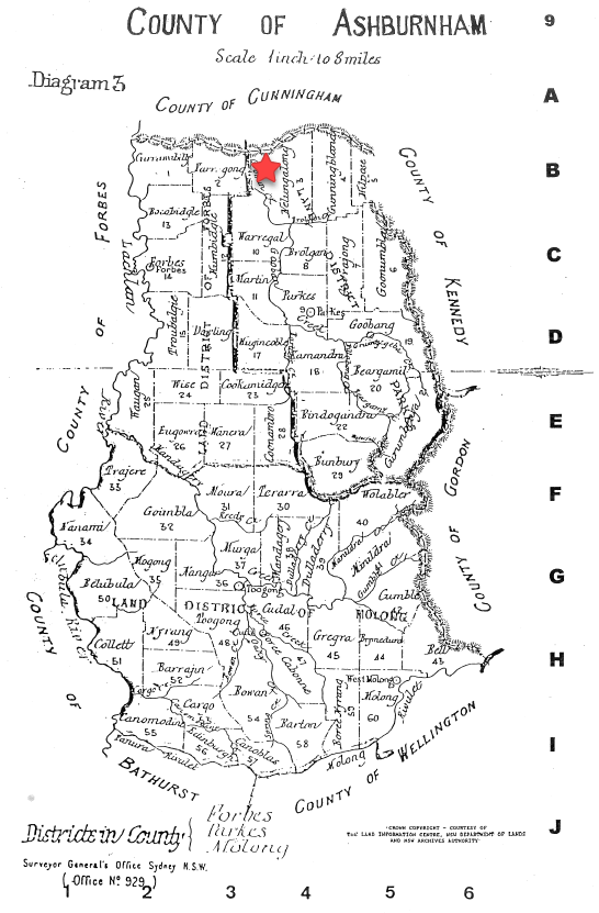 Map of Ashburnham County, highlighting the area of Nelungaloo along with the parish of Nelungalong in 1881. Source: County & Parish Maps of NSW With Index by Alice Jansen (1991) page 9