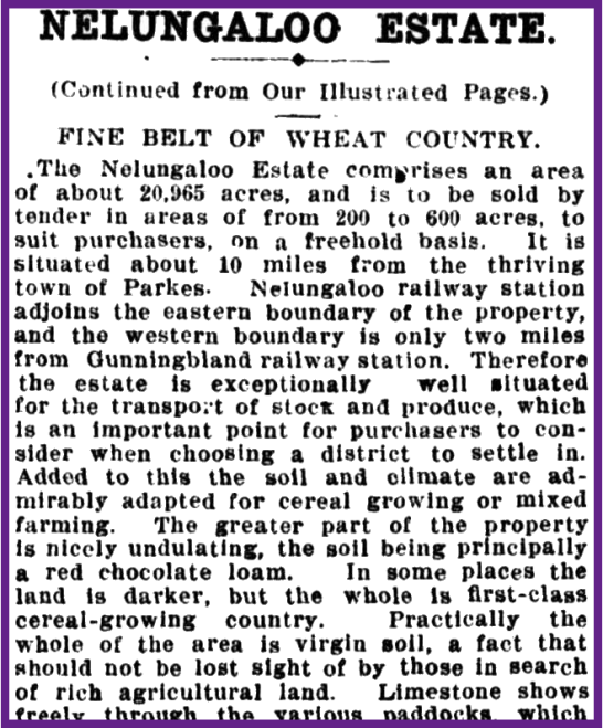 An excerpt from a newspaper report about Nelungaloo Estate, which also describes where it is situated. To read the article in its entirety click here. Source: The Sydney Mail and New South Wales Advertiser Wednesday 7 September, 1910 p.11 at http://nla.gov.au/nla.news-article164341876