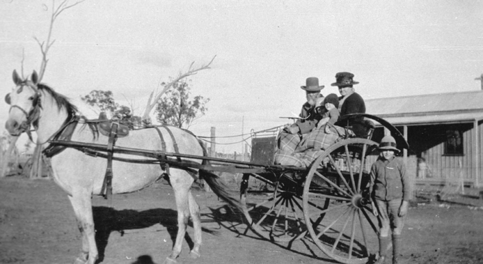 Travelling from Nelungaloo back in the day. Sam and Melissa Freeman with Elsie, Jack and Bert Freeman. Source: NSW State Library Archives at http://digital.sl.nsw.gov.au/delivery/DeliveryManagerServlet?embedded=true&toolbar=false&dps_pid=IE1701558&_ga=2.104316288.1432411973.1576469181-1853509756.1523252311