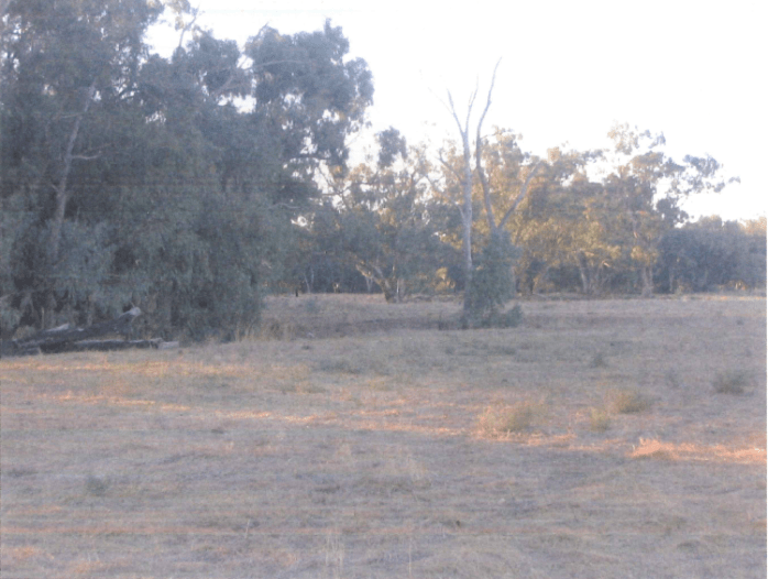The open plain beside the Billabong Creek, close to the site of the shooting. Source: P. Bradley (2006) p. 91